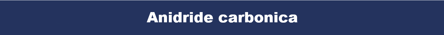 banner anidride carbonica